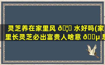 灵芝养在家里风 🦉 水好吗(家里长灵芝必出富贵人啥意 🌵 思)